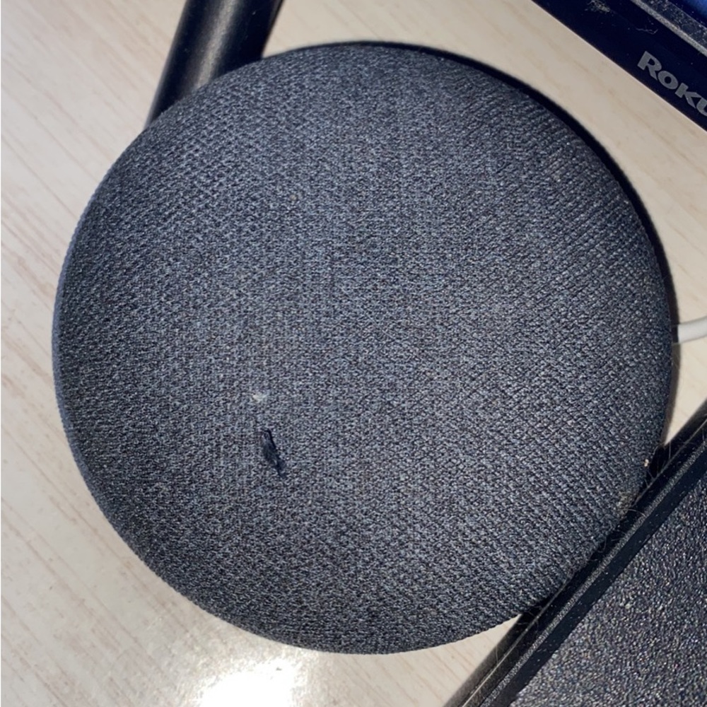 Google nest mini speaker